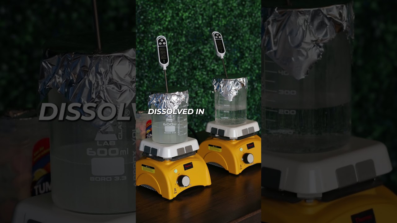 CO2 and Temperature: A Real-Time Experiment on the Greenhouse Effect!