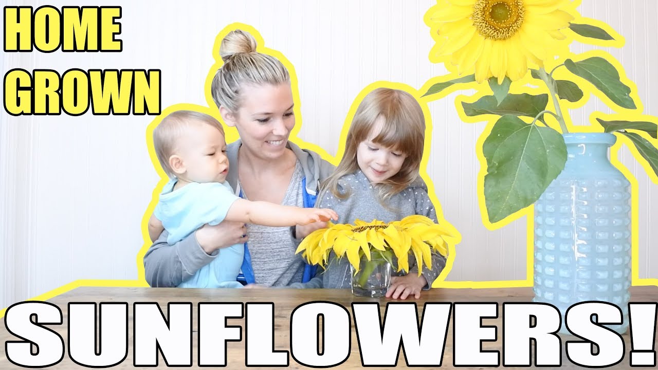 Let's Grow Some Sunflowers - episode #20 | Family Vlog 