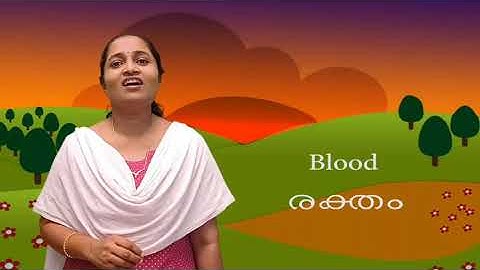 Std 5 English Unit 3  Class 10 white Board SLD