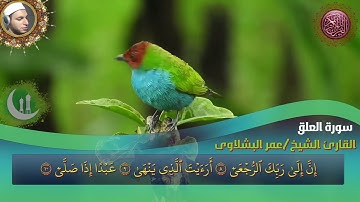 سورة العلق بصوت القارئ الشيخ عمر عبد الناصر البشلاوي