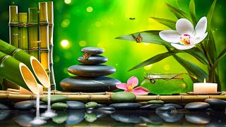 Relaxing Music • Calm Piano Music, Sleep Music, Water Sounds, Meditation Music, Bamboo #1