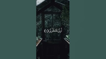#قران_كريم #سورة_القيامة #قران_كريم_بصوت_جميل_جدا