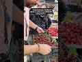 ‼️УЖЕ НА БАЗЕ. ПЕРВАЯ ЦЕНА на узбекскую ВИШНЮ на Фуд Сити 🍒⠀Это 3 кросс док на Фуд Сити