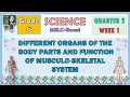 Understanding the Musculoskeletal System