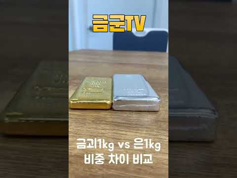   금1kg 은1kg 비중 크기 차이