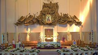 Sunday of Divine Mercy