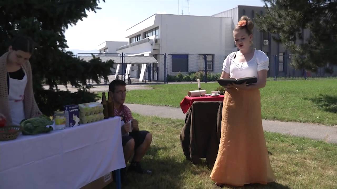 Antun Gustav Matoš: Kip domovine leta 188*