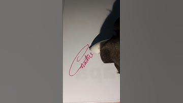 chandni name signature style. C name signature in different style. #ytshorts #signature