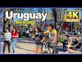 【4K】WALK  DURAZNO Uruguay 4k video UY Travel vlog