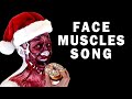 Muscles of facial expression and mastication song