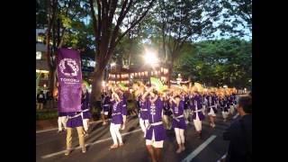 Four seasons at Tohoku University