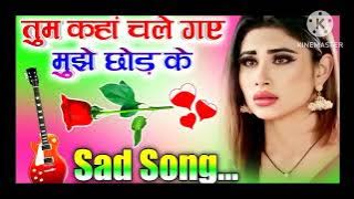 तुम कहां चले गए हमें छोड़ कर रिंगटोन || tum kahan chale gaye mujhe chhod ke 2024