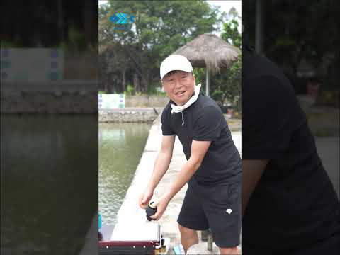 TRẢI NGHIỆM HỒ CÂU THI ĐẤU 8386 BẢNG VMSV2 - PHẦN 4