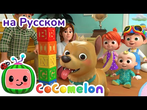 НОВАЯ СЕРИЯ | Бинго | CoComelon на русском — Детские песенки | Мультики для детей