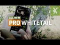 The most powerful hunting app for whitetail hunters  huntstand pro whitetail