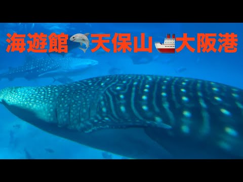 311火　海遊館🦈天保山🚢大阪港