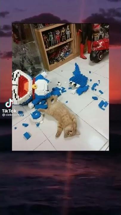Doraemon nyata😱#fyp #fypシ #kucing #lucu #gay #kiyomasa #fy #tiktok
