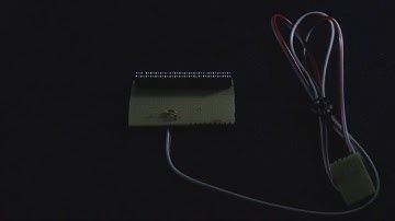 Raspberry Pi - Shield for DS18B20 thermal sensor (close-up view)