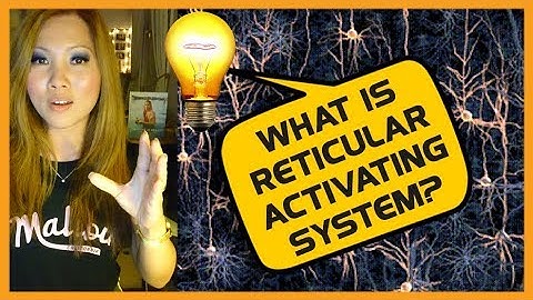 Reticular Activating System (How To Use It To Get What You Really Want)