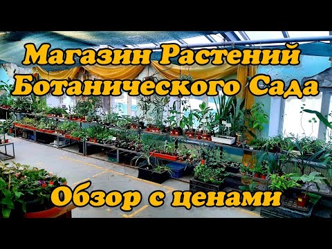 Магазин Ботанического сада в Санкт-Петербурге / Обзор растений / РЕДКИЕ РАСТЕНИЯ