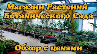 Магазин Ботанического сада в Санкт-Петербурге / Обзор растений / РЕДКИЕ РАСТЕНИЯ