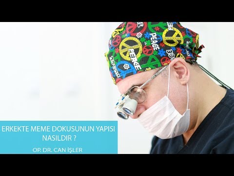 Erkekte Meme Dokusunun Yapısı Nasıldır - Op. Dr. Can İşler