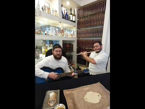 ניגון בארדיטשוב