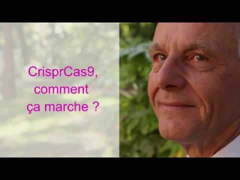 Enjeux éthiques de