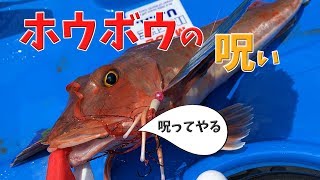 ホウボウの呪い。大物をバラして 海が荒れて 散々な目に遭う カヤックフィッシング