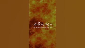 الآية 7 و 8 من سورة الجاثية