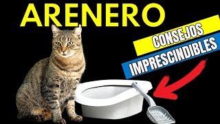ARENERO  de tu gato 😸 Cuidados  esenciales y recomendaciones by Mascotas Sanas Y Felices 562 views 1 month ago 8 minutes, 19 seconds