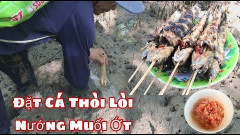 Xuống Rừng Đặt Cá Thòi Lòi Về Nướng Muối Ớt 🌶  “MÓN NGON ĂN MỘT LẦN NHỚ MÃI” || @đoàn 39 Vlog