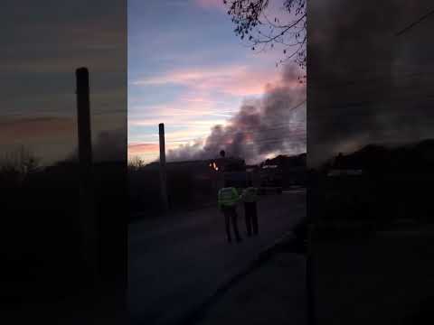 O locomotivă a luat foc între Brazi și Crivina