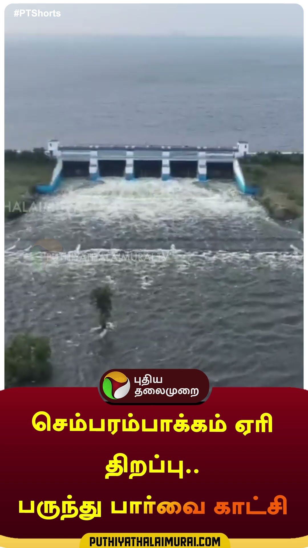 செம்பரம்பாக்கம் ஏரி திறப்பு.. பருந்து பார்வை காட்சி | #shorts | #Chembarambakkamlake