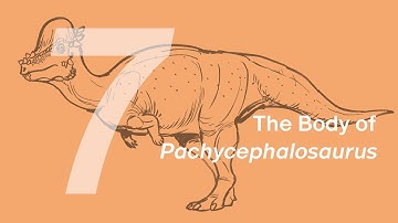 Austin the Pachycephalosaurus 7: The Body | Learn to Draw Dinosaurs with ZHAO Chuang