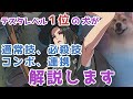 【GGST】犬でもわかるテスタメント解説【Ver1.24】【HighLevel gekiuma dog no tesuta kaisetu】