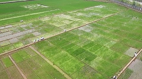 CPTPP: Cơ hội thách thức cho nông sản Việt Nam