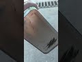 Подделка масла tsl