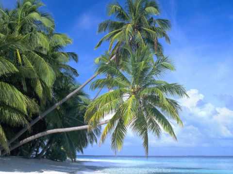 Cindy Bradley-Bliss