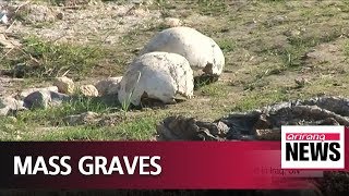More than 200 mass graves of IS victims uncovered in Iraq: UN