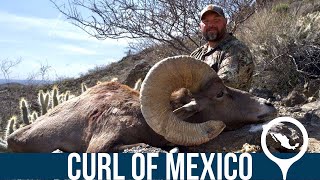 The Curl of Mexico - A Desert Sheep Hunt in Mexico