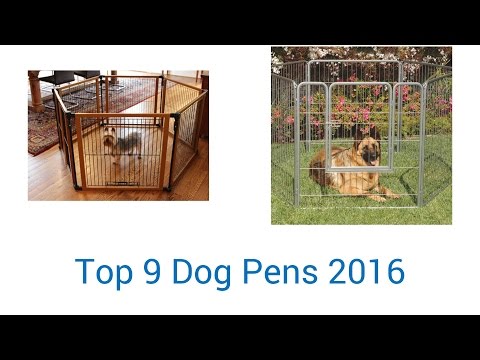 9-best-dog-pens-2016