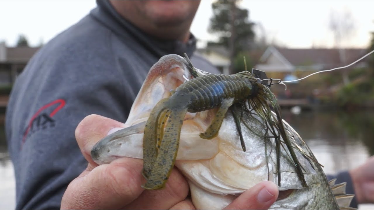 Switch To Chatterbait For Winter Bass