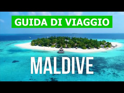 Video: Le migliori esperienze nella natura alle Maldive