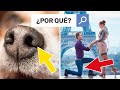 7 Preguntas que todos nos hemos hecho alguna vez 🤔[PyR]