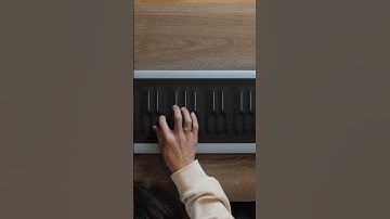 Playing the Saxophone on Seaboard RISE 2 🎷