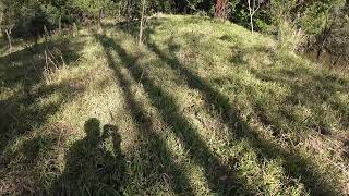 Snake in the grass
