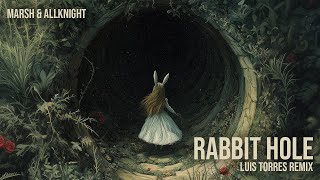 Marsh & ALLKNIGHT - Rabbit Hole (Luis Torres Remix)