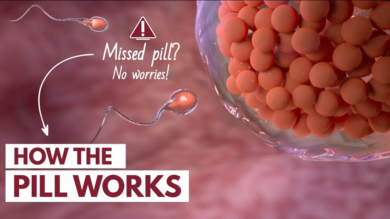 ⁣How The Pill Works | Missed Pill? Skipping Period?