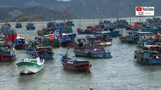Awesome Fish Port Luong Son Nha Trang At New Year 2020